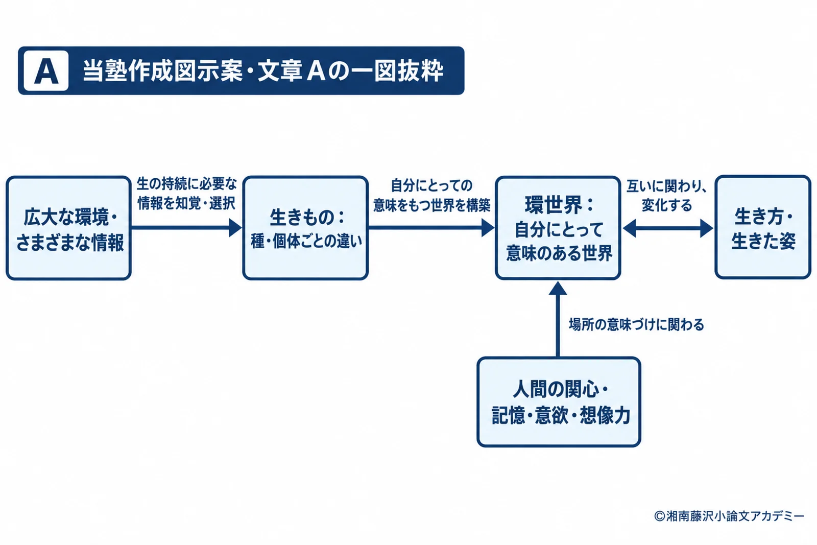 文章Aの図示例。環境からの情報の知覚・選択と環世界の構築、生き方との相互変化を示す。