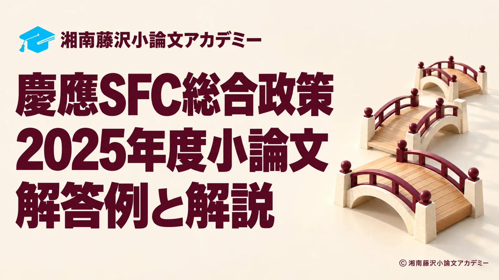 慶應SFC総合政策学部2025年度小論文の解答例と解説