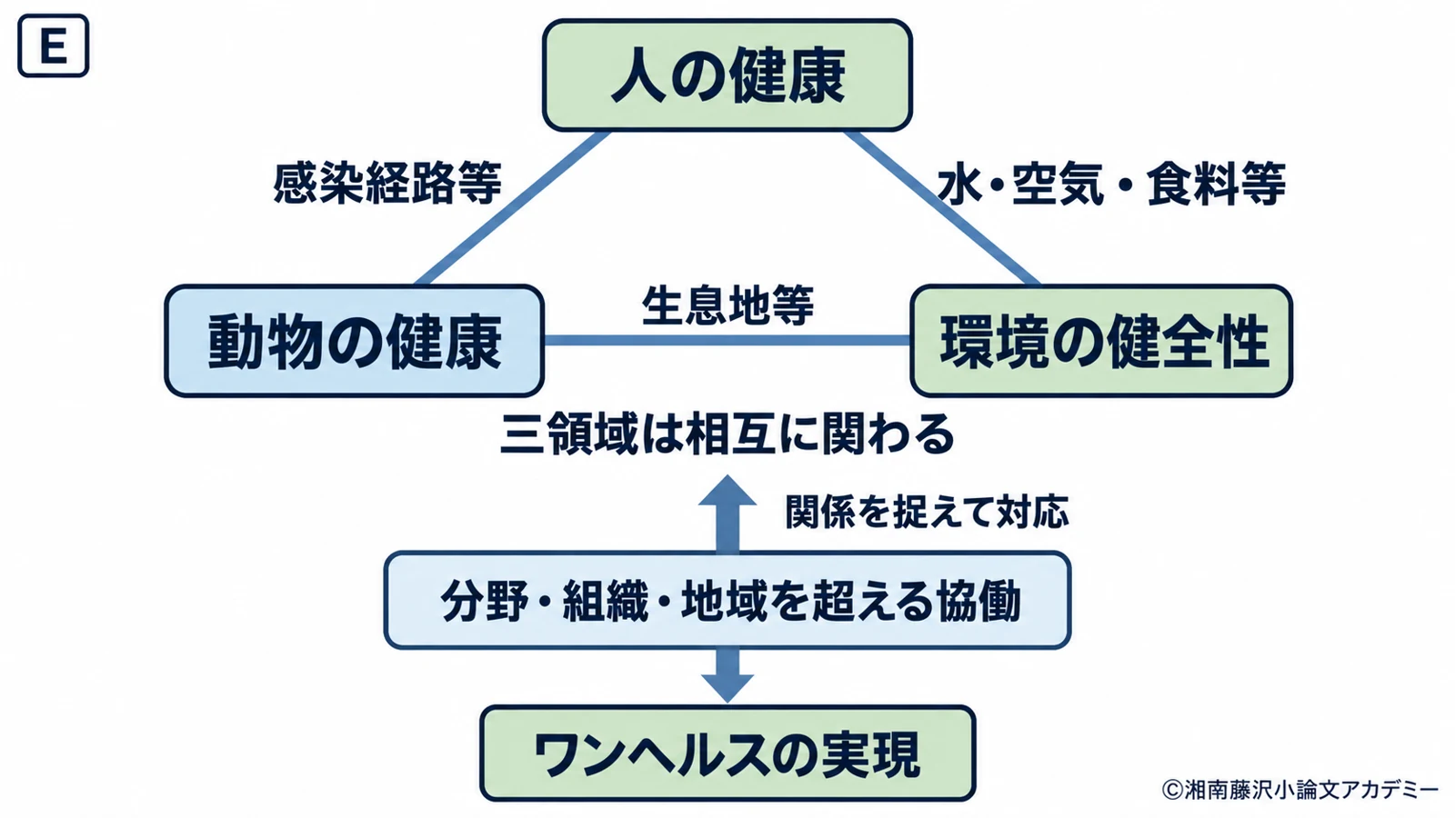 文章Eの図示例。人・動物・環境の健康の相互依存と、分野を超えた協働を示す。